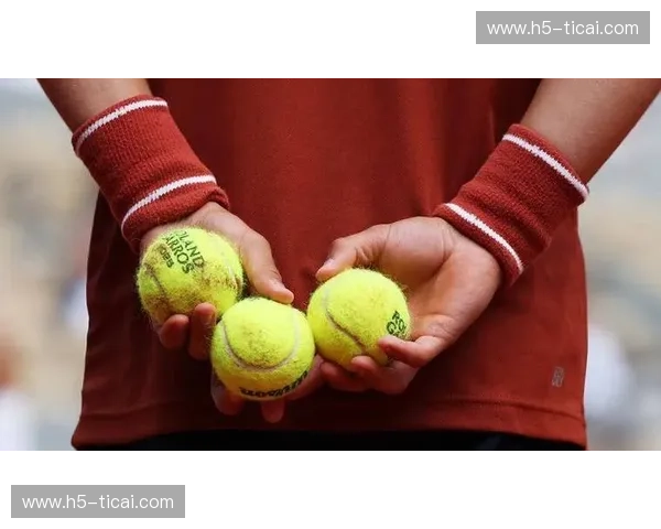 法网完整版:一场不打烊的网球盛宴 法网完整版:一场不打烊的网球盛宴